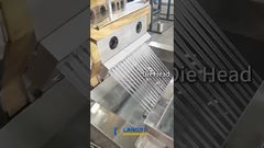 PP PE 顆粒化ライン #リサイクル #機械 #工場